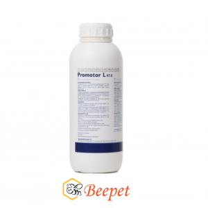 Promotor L47